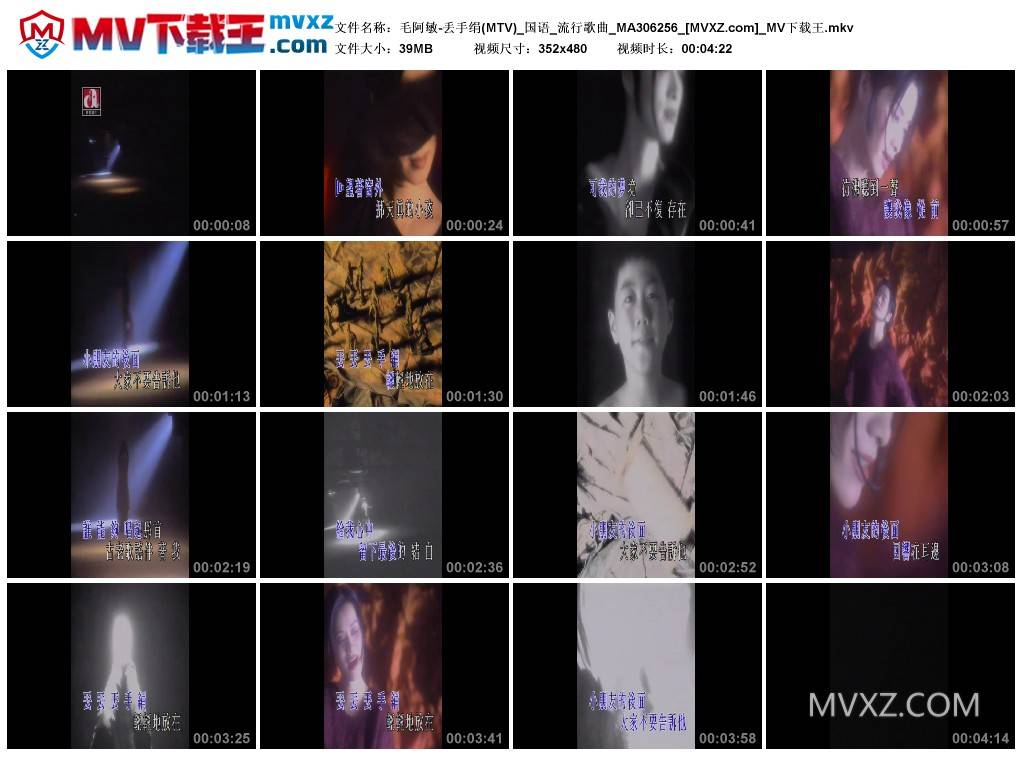 毛阿敏-丢手绢(MTV)_国语_流行歌曲_MA306256